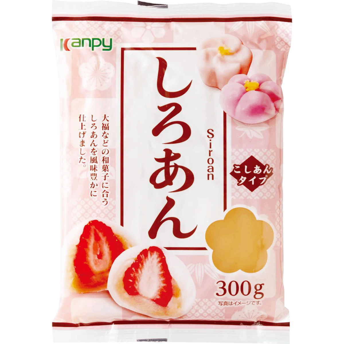 BC667_1200x1200.png?v=1769677374