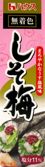 Haus - gesalzene Pflaumenpaste mit Shiso in 40 g Rohr